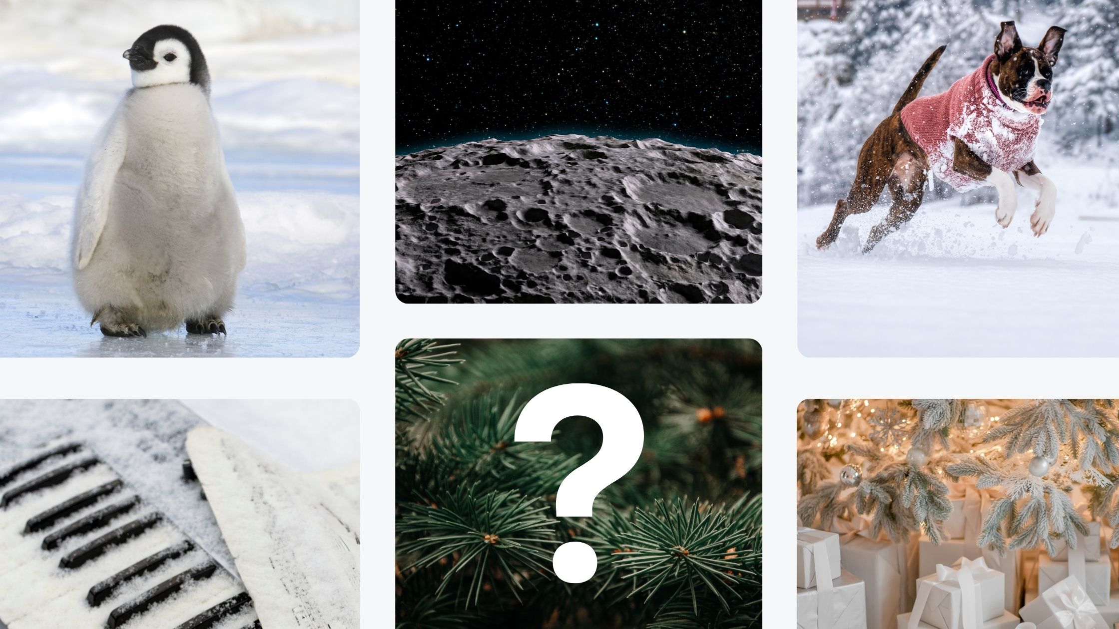 A collage of winter-themed images arranged in a grid. The top row shows a penguin standing on snow, a close-up of a cratered lunar surface, and a dog in a pink jacket running through snow. The middle row includes a close-up of snow-covered piano keys and a green pine branch with a question mark overlay. The bottom right corner shows a snow-covered Christmas tree decorated with lights and surrounded by white gift boxes.